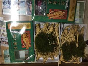 Sâm 10 năm tuổi